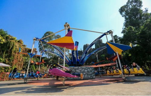 2018 CAE北京展 龍之盈游樂邀您參觀，共賞精彩游玩設備